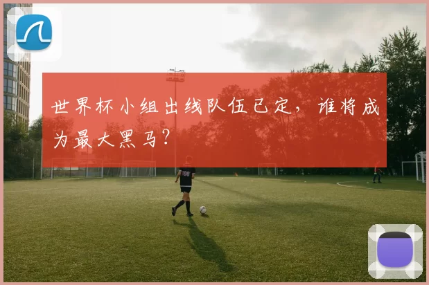 世界杯小组出线队伍已定，谁将成为最大黑马？