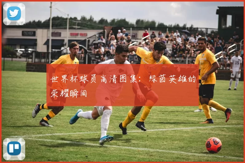 世界杯球员高清图集：绿茵英雄的荣耀瞬间