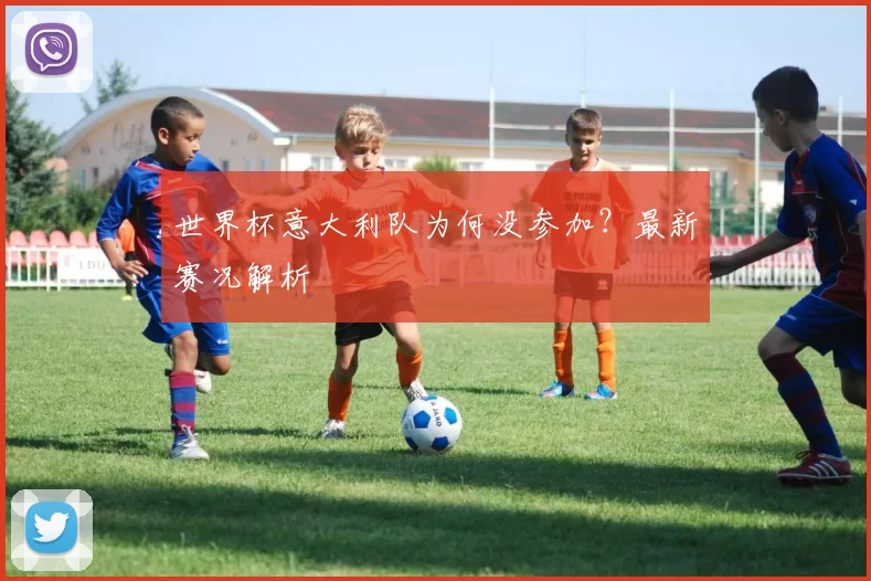 世界杯意大利队为何没参加？最新赛况解析
