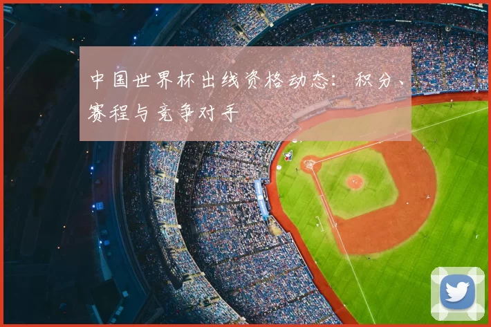 中国世界杯出线资格动态：积分、赛程与竞争对手
