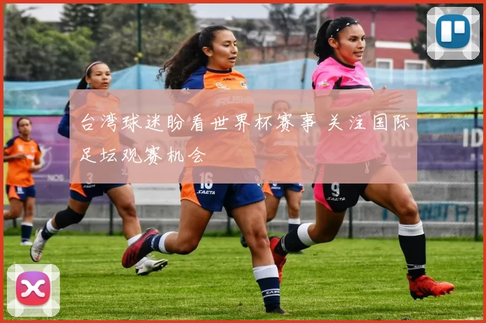 台湾球迷盼看世界杯赛事 关注国际足坛观赛机会