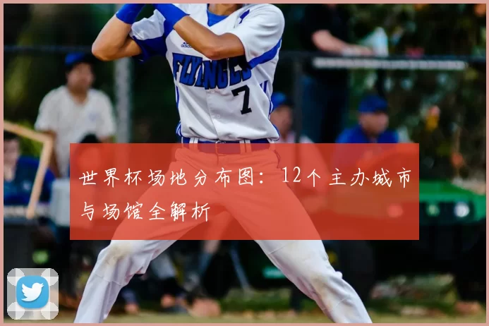 世界杯场地分布图：12个主办城市与场馆全解析