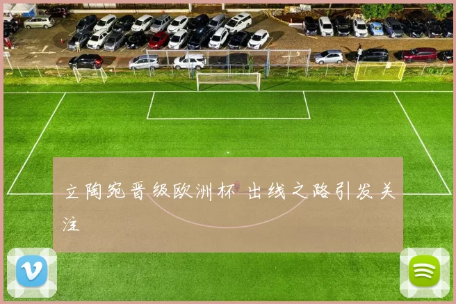 立陶宛晋级欧洲杯 出线之路引发关注