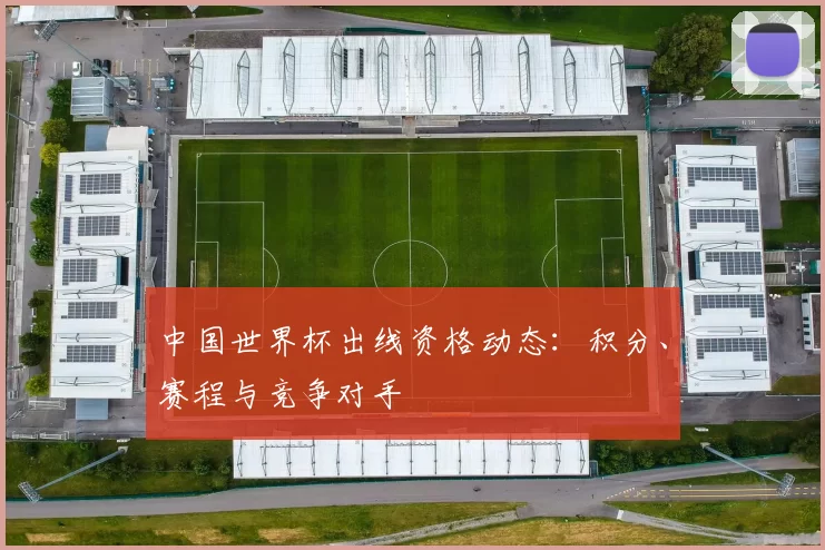 中国世界杯出线资格动态：积分、赛程与竞争对手
