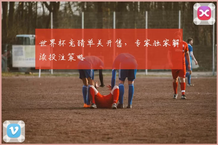 世界杯竞猜单关开售，专家独家解读投注策略